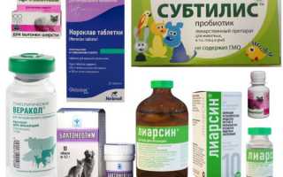 Препарат «Веракол» для кошек: описание, состав, применение