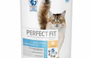 Влажные корма для кошек PERFECT FIT — отзывы 	 Отрицательные. Нейтральные. Положительные. + Оставить отзыв 	 Отрицательные отзывы Эльвира Аферисты вы вот и все больше вашу продукцию покупать не буду,