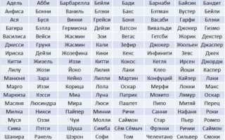 Идея № 354: особенности бизнеса на разведении бенгальских кошек