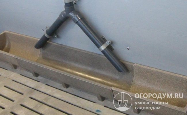 Длинные кормушки, изготовленные из трубы, обычно размещают в свинарнике стационарно