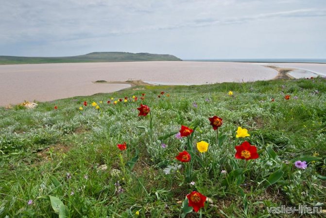 Опукский заповедник