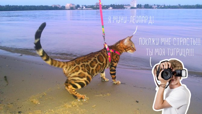 Покажи мне страсть