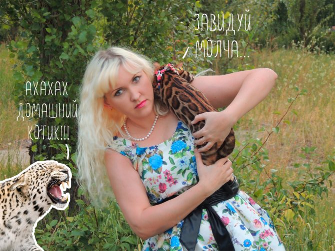 Завидуй молча