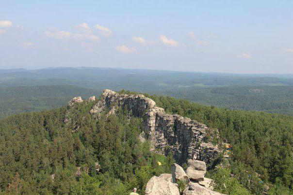 животные челябинской области